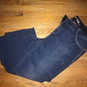 Lane Bryant Tummy control jeans